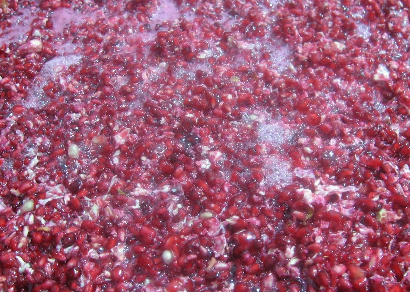 Sgranellatrici